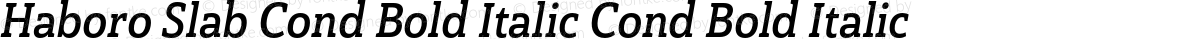 Haboro Slab Cond Bold Italic Cond Bold Italic