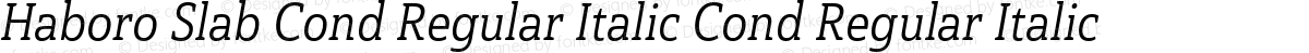 Haboro Slab Cond Regular Italic Cond Regular Italic