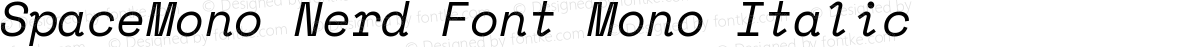 SpaceMono Nerd Font Mono Italic