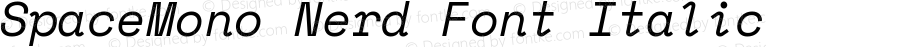 Space Mono Italic Nerd Font Complete