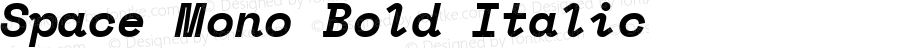 Space Mono Bold Italic