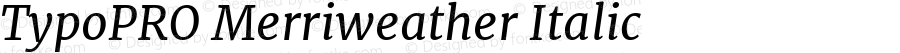 TypoPRO Merriweather Italic