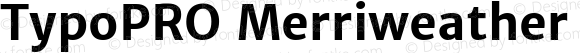 TypoPRO Merriweather Sans Bold