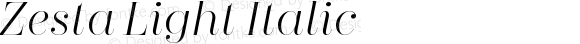 Zesta Light Italic