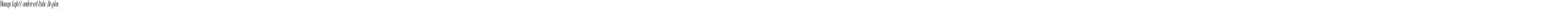 Moniqa Light Condensed Italic Display