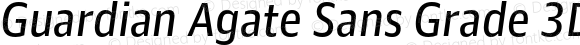 Guardian Agate Sans Grade 3D Regular Italic