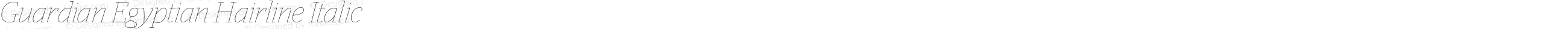 Guardian Egyptian Hairline Italic