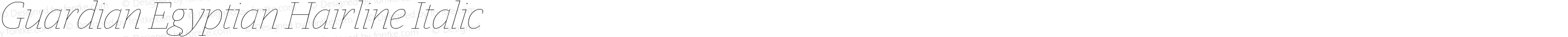 Guardian Egyptian Hairline Italic