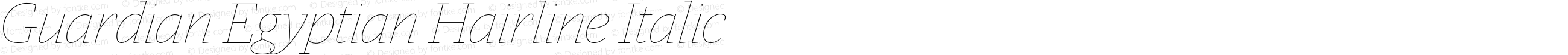 Guardian Egyptian Hairline Italic