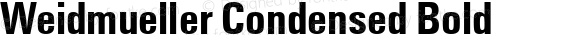 Weidmueller Condensed Bold