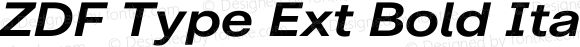 ZDF Type Ext Bold Italic