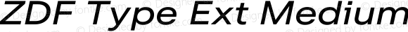 ZDF Type Ext Medium Italic