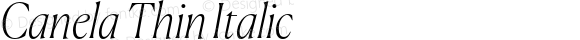 Canela Thin Italic