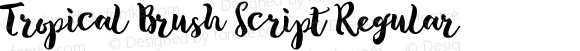 Tropical Brush Script