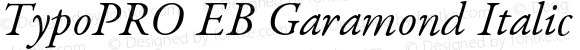 TypoPRO EB Garamond 12 Italic