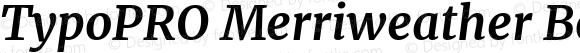 TypoPRO Merriweather Bold Italic