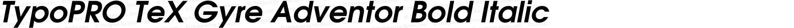 TypoPRO TeX Gyre Adventor Bold Italic