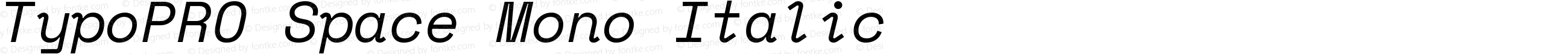 TypoPRO Space Mono Italic