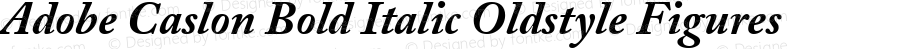 Adobe Caslon Bold Italic Oldstyle Figures
