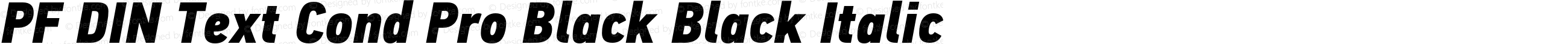 PF DIN Text Cond Pro Black Black Italic
