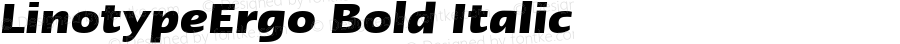 LinotypeErgo Bold Italic 2