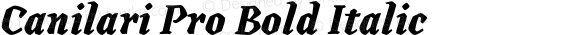 Canilari Pro Bold Italic