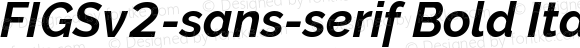 FIGSv2-sans-serif Bold Italic