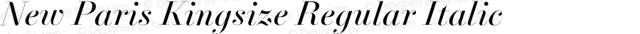 NewParisKingsize-RegularItalic