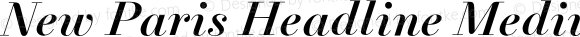 New Paris Headline Medium Italic