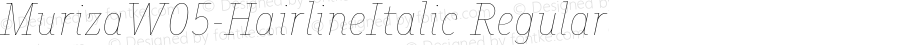 Muriza W05 Hairline Italic