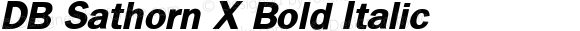 DB Sathorn X Bold Italic Version 3.000 2006