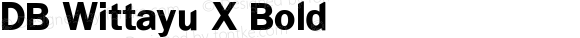 DB Wittayu X Bold Version 3.000 2006