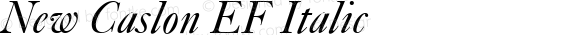 NewCaslonBEF-Italic