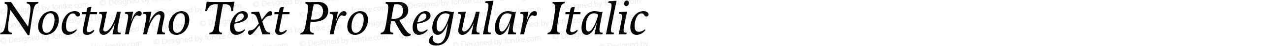 Nocturno Text Pro Regular Italic