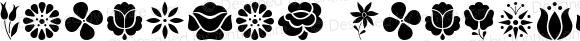 Kalocsai Flowers Regular
