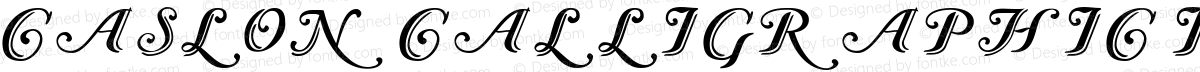 Caslon Calligraphic Initials Regular