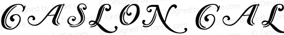 Caslon Calligraphic Initials Regular