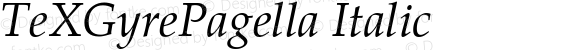 TeXGyrePagella Italic