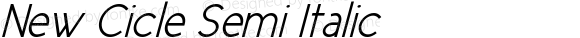 New Cicle Semi Italic