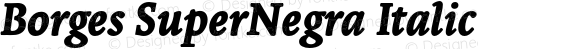 Borges SuperNegra Italic Version 2.000