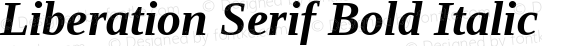 Liberation Serif Bold Italic