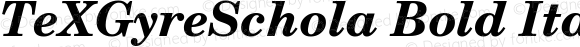 TeXGyreSchola Bold Italic