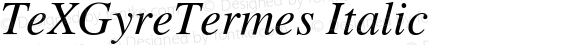 TeXGyreTermes Italic