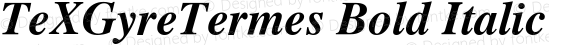 TeXGyreTermes Bold Italic