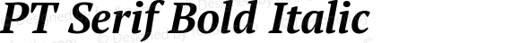 PT Serif Bold Italic