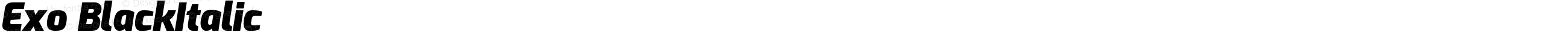 Exo BlackItalic