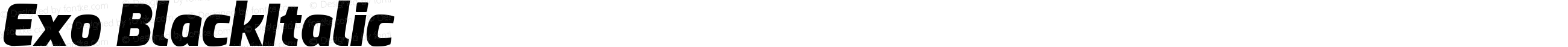 Exo BlackItalic