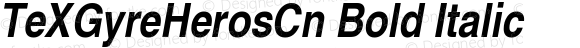 TeXGyreHerosCn Bold Italic