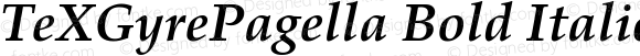TeXGyrePagella Bold Italic