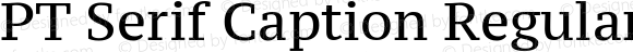 PT Serif Caption Regular